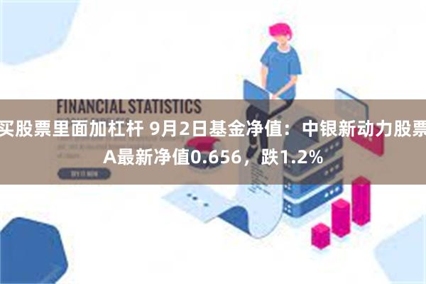 买股票里面加杠杆 9月2日基金净值：中银新动力股票A最新净值0.656，跌1.2%