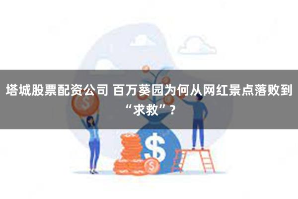 塔城股票配资公司 百万葵园为何从网红景点落败到“求救”？