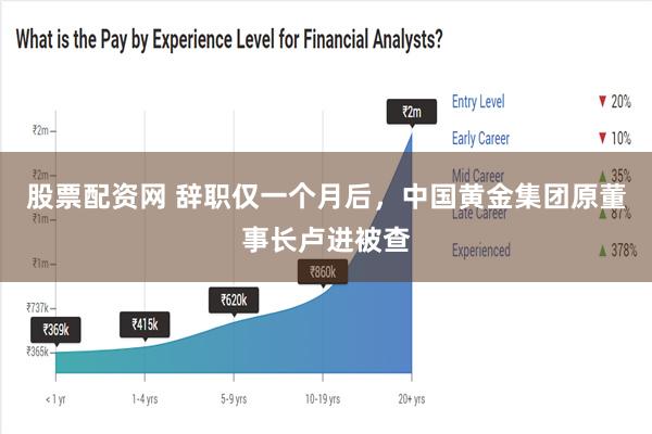 股票配资网 辞职仅一个月后，中国黄金集团原董事长卢进被查