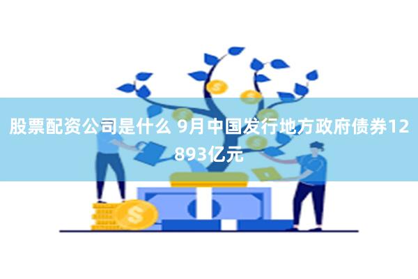 股票配资公司是什么 9月中国发行地方政府债券12893亿元