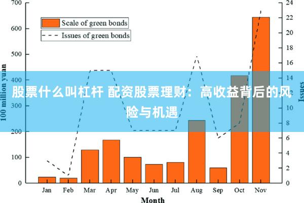 股票什么叫杠杆 配资股票理财：高收益背后的风险与机遇