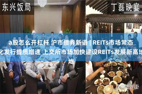 a股怎么开杠杆 沪市债券新语 | REITs市场常态化发行提质增速 上交所市场加快建设REITs发展新高地